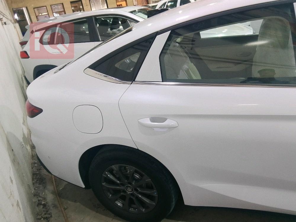 بي واي دي كوين L DM-i